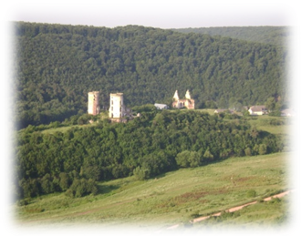 image005