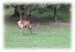 image0091