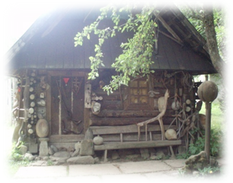 image010