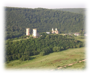 Замок Понінських image0113