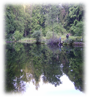 Лебедине озеро image0131