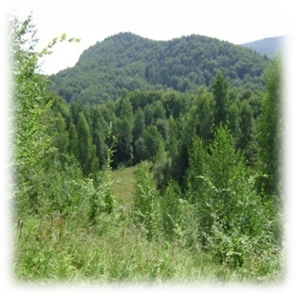 г. Лебедин image0141